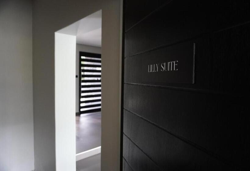 مبيت وإفطار The Raz