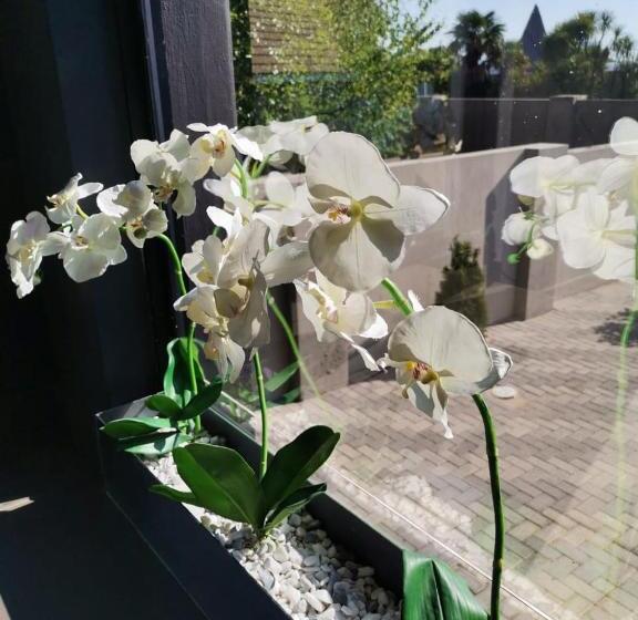 مبيت وإفطار The Raz