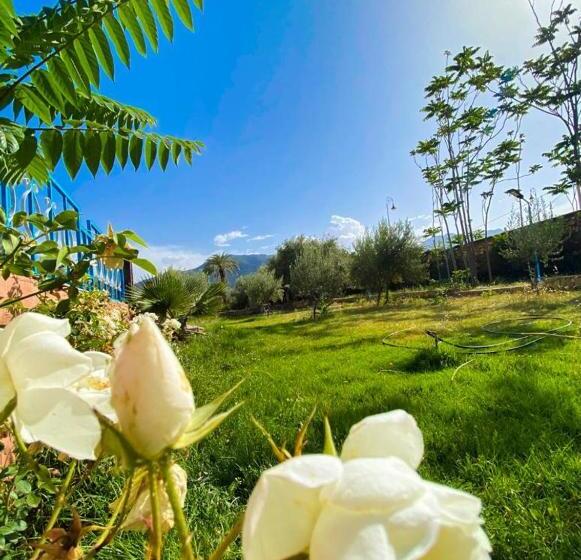 بنسيون L Oliveraie D Amizmiz