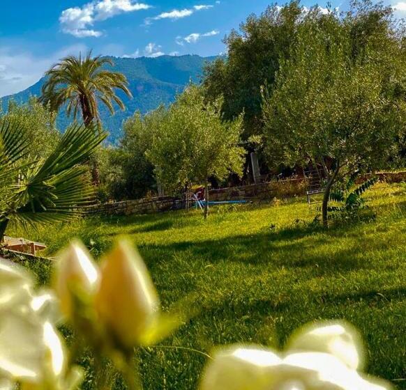 بنسيون L Oliveraie D Amizmiz