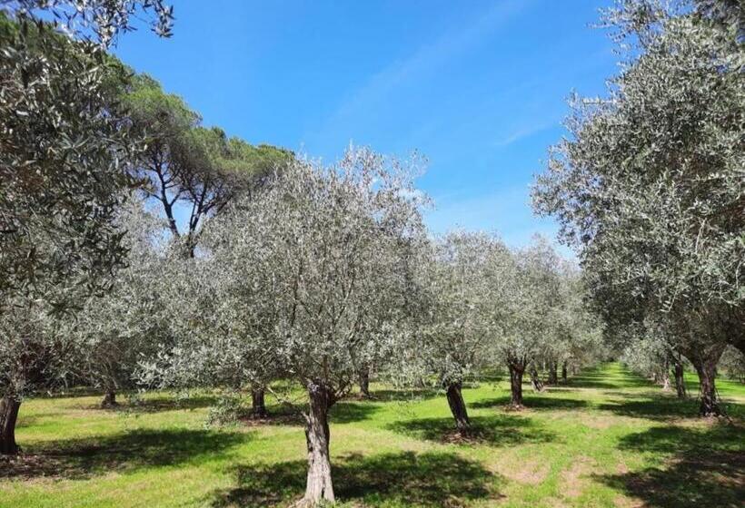 צימר Villa Di Noi