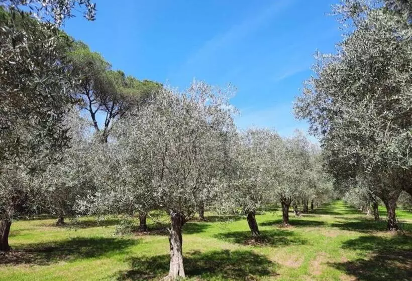 Bed and Breakfast Villa Di Noi