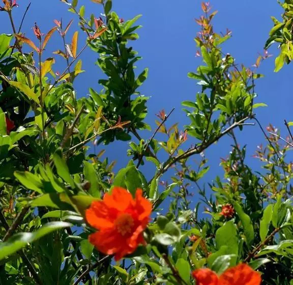 Bed and Breakfast Villa Di Noi