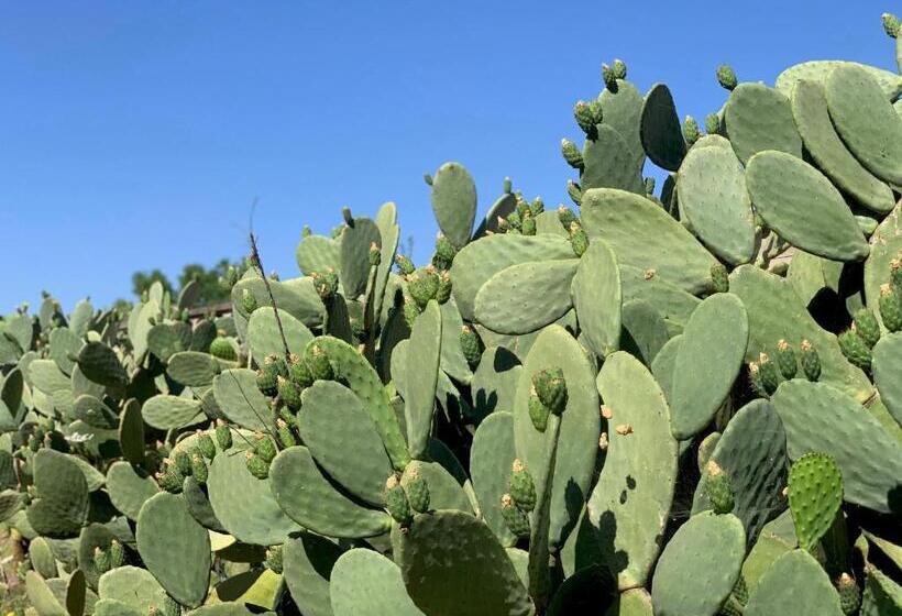 צימר Villa Di Noi