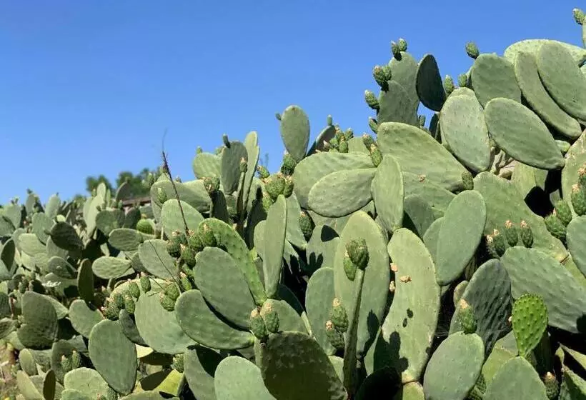 Bed and Breakfast Villa Di Noi