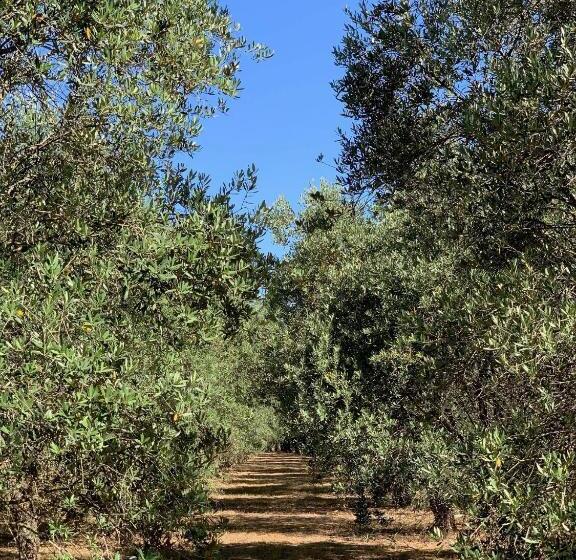 צימר Villa Di Noi