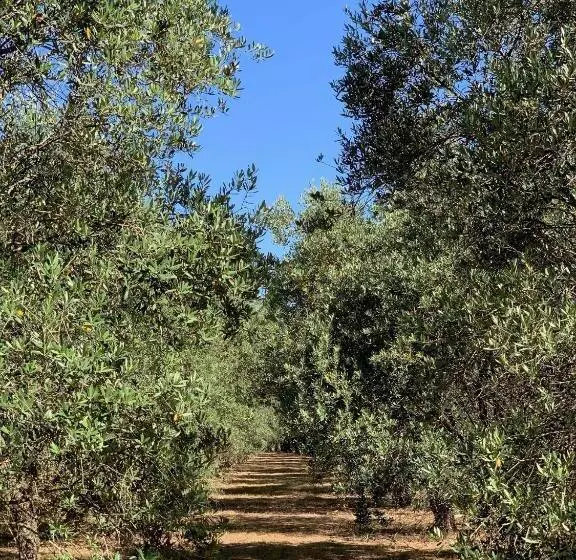 Bed and Breakfast Villa Di Noi