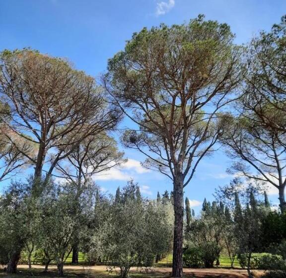 צימר Villa Di Noi