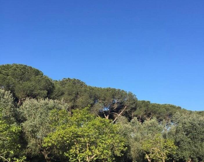 צימר Villa Di Noi