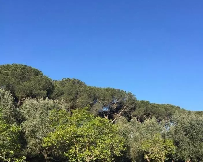 Bed and Breakfast Villa Di Noi