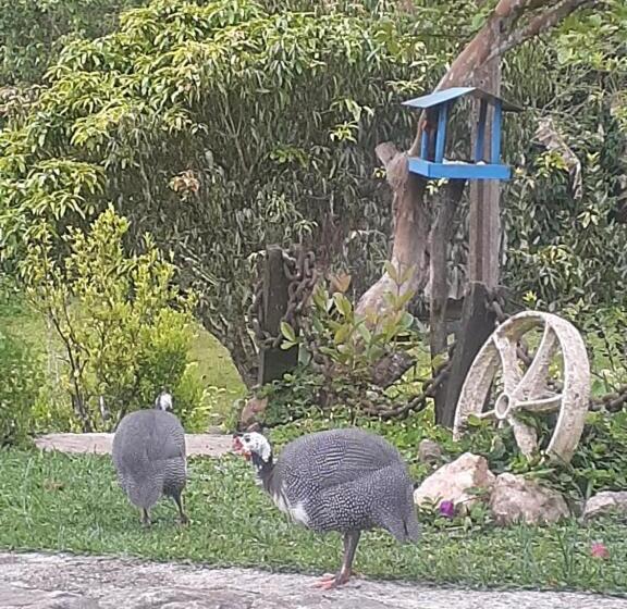 膳宿费 Chalé Do Lago Ladeira De Pedra