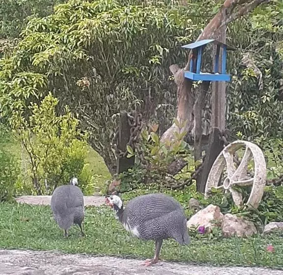 Majatalo Chalé Do Lago Ladeira De Pedra
