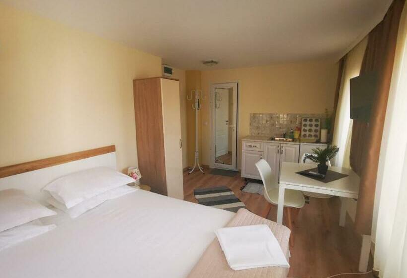 פנסיון Damaris