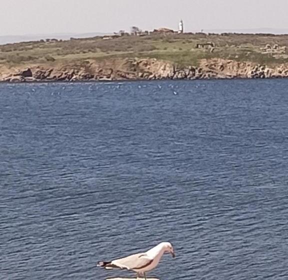 פנסיון Damaris