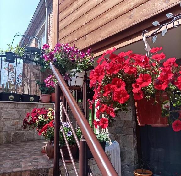 פנסיון Damaris