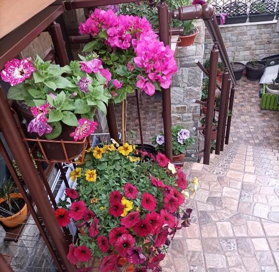 פנסיון Damaris