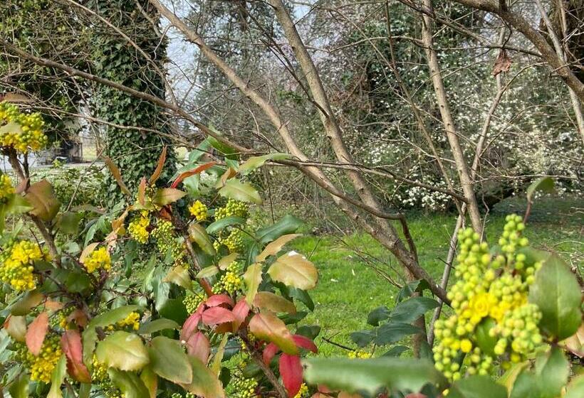 تختخواب و صبحانه Acero Giallo