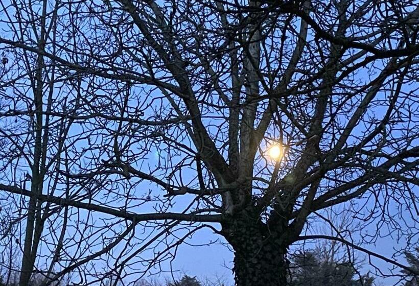 تختخواب و صبحانه Acero Giallo