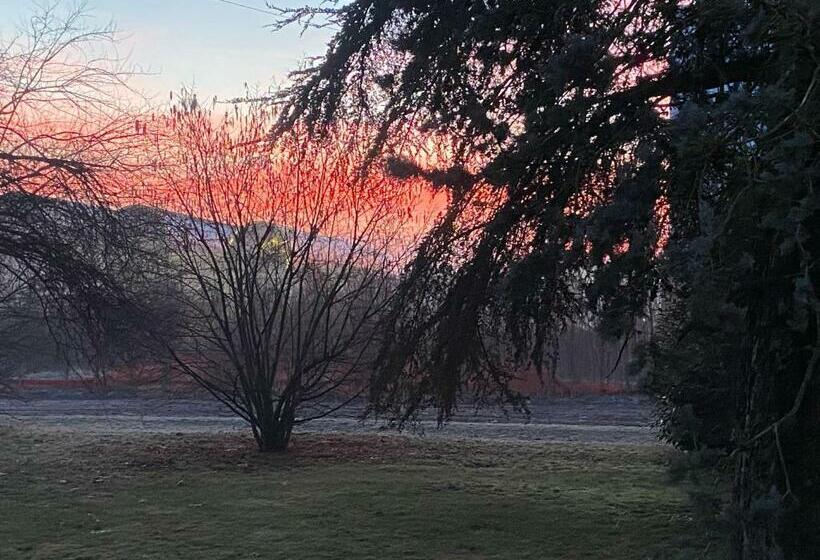 تختخواب و صبحانه Acero Giallo