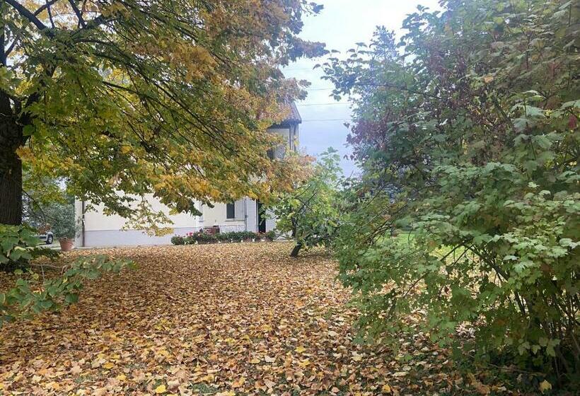 تختخواب و صبحانه Acero Giallo