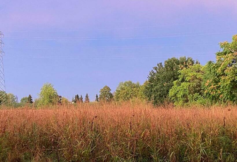 تختخواب و صبحانه Acero Giallo