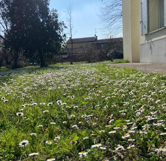 تختخواب و صبحانه Acero Giallo