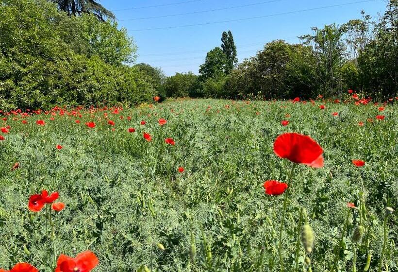 تختخواب و صبحانه Acero Giallo