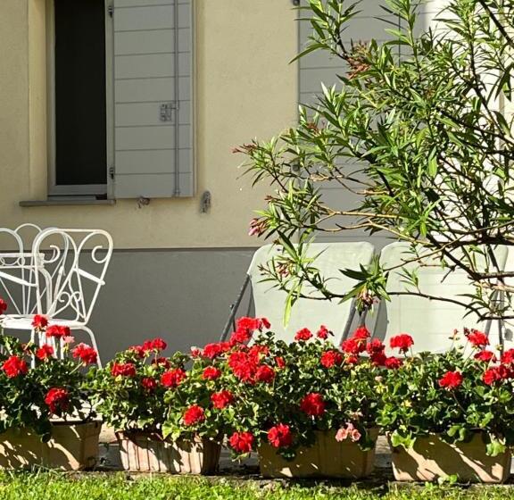 تختخواب و صبحانه Acero Giallo