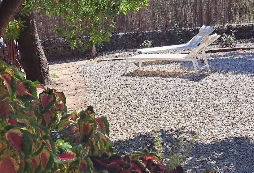 ベッドアンドブレックファースト L Interlude