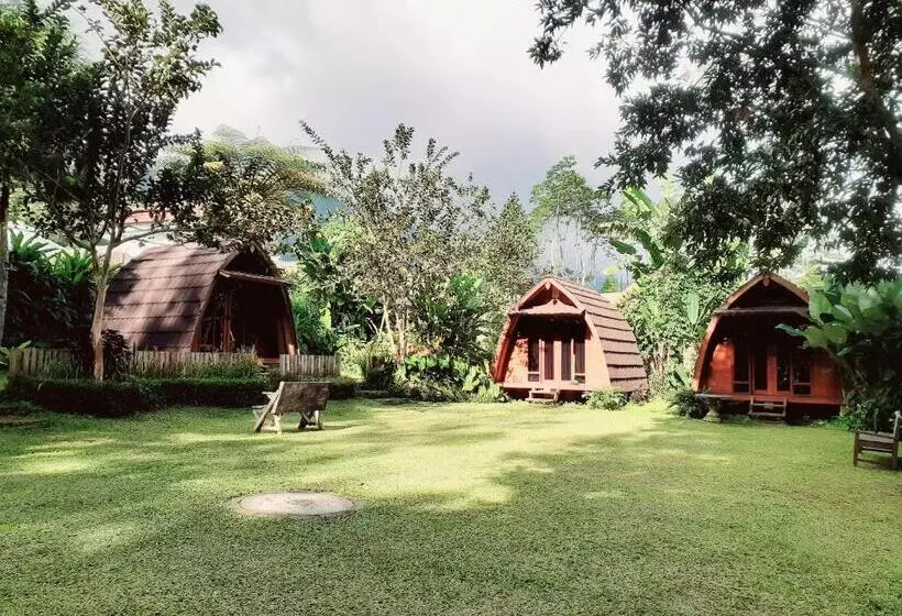 ホテル Oak Tree Bali