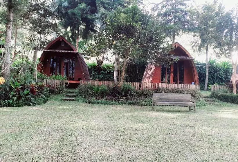 ホテル Oak Tree Bali