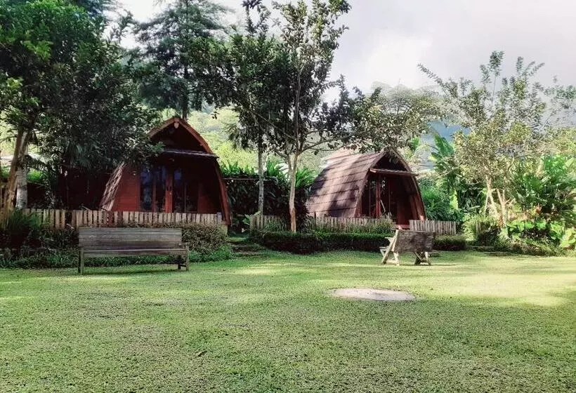 ホテル Oak Tree Bali
