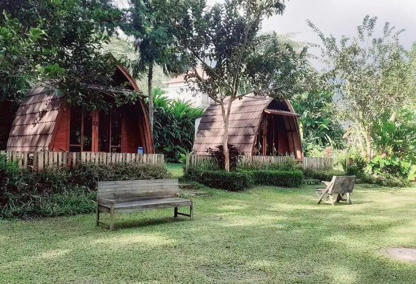 ホテル Oak Tree Bali