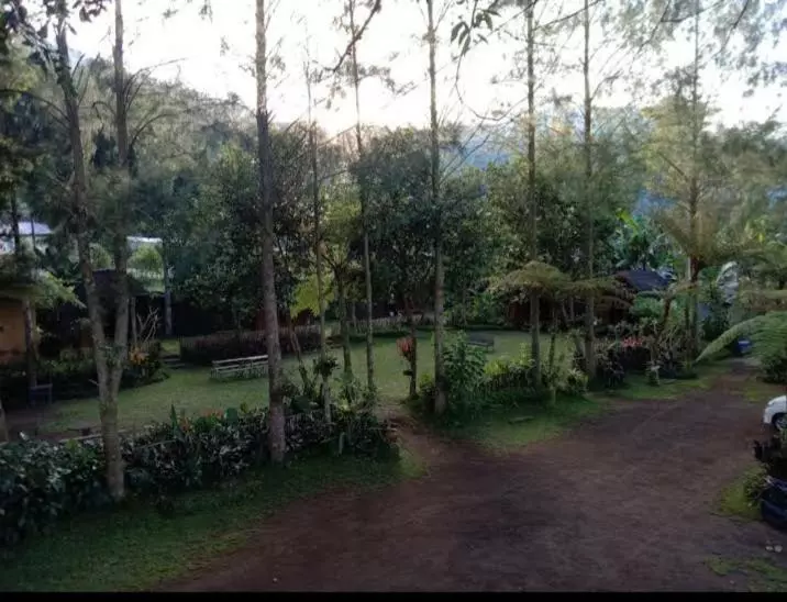 ホテル Oak Tree Bali