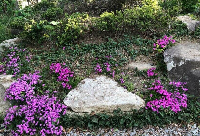 פנסיון Fukurou No Oyado Vacation Stay 71243v