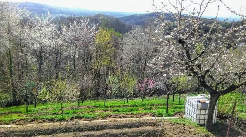 Majatalo Il Pettirosso