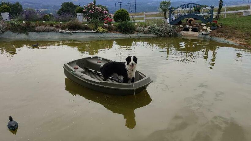 تختخواب و صبحانه Domaine Le Lanis Chambre D Hôtes Piscine Spa Sur Réservation