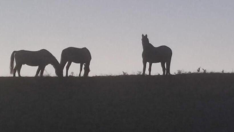 تختخواب و صبحانه Domaine Le Lanis Chambre D Hôtes Piscine Spa Sur Réservation