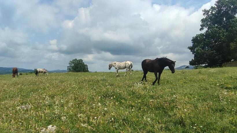 تختخواب و صبحانه Domaine Le Lanis Chambre D Hôtes Piscine Spa Sur Réservation