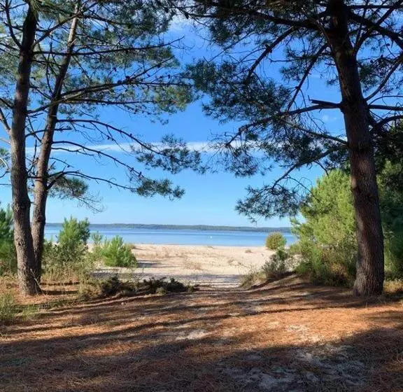 Aamiaismajoitus (B&B) Hacienda De La Canopée Avec Piscine Chauffée Au Sel