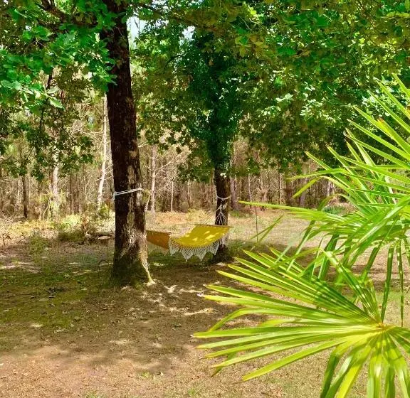 Aamiaismajoitus (B&B) Hacienda De La Canopée Avec Piscine Chauffée Au Sel