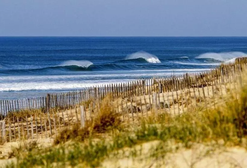 Aamiaismajoitus (B&B) Hacienda De La Canopée Avec Piscine Chauffée Au Sel