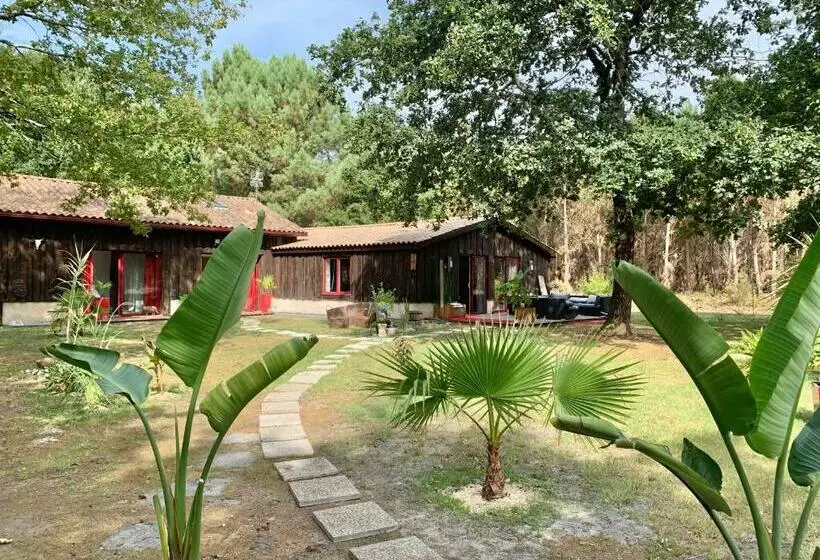 Aamiaismajoitus (B&B) Hacienda De La Canopée Avec Piscine Chauffée Au Sel