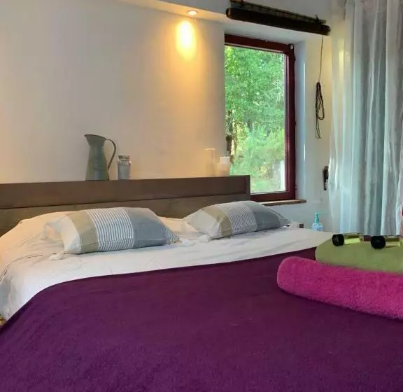 Aamiaismajoitus (B&B) Hacienda De La Canopée Avec Piscine Chauffée Au Sel