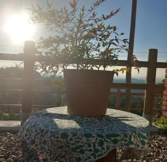 ベッドアンドブレックファースト Il Cortile Di Greta