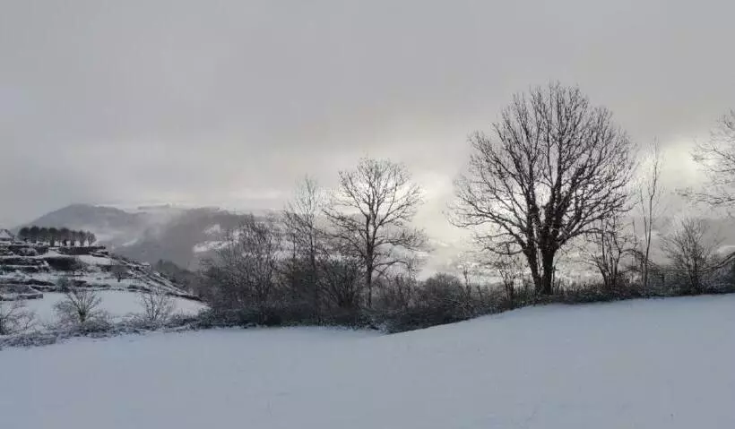 ベッドアンドブレックファースト Maison D Hôtes La Grange