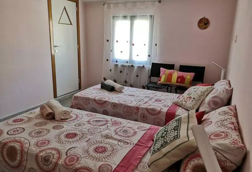 Elido B&b