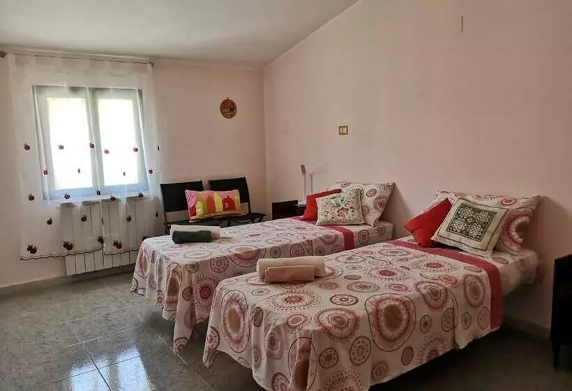 Elido B&b