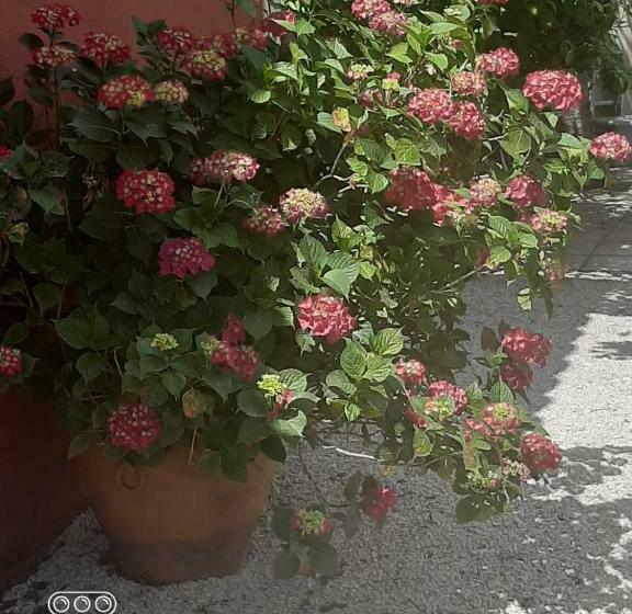 פנסיון Villa Sécurisée Pres Des Lecques