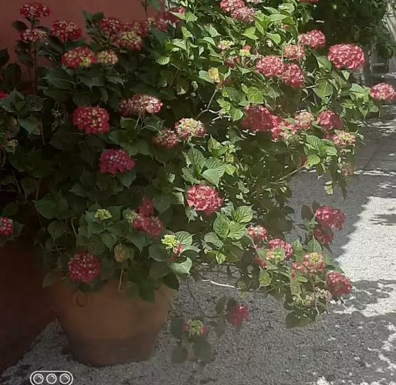 Majatalo Villa Sécurisée Pres Des Lecques